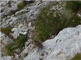 Passo di Costalunga / Karerpass - Cima Latemar / Latemarspitze